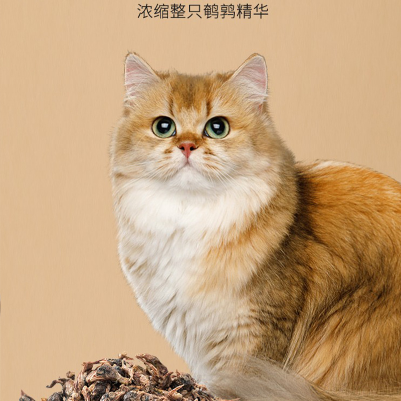 Gato nervioso, comida para gatos secos, bocadillos para gatos jóvenes, dientes limpiadores, mascotas resistentes a la mordida, carne seca para gatos, bocadillos para mascotas