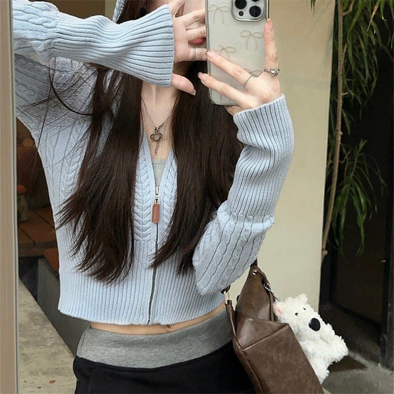 奢缇家小麻花2025冬款新款灰色毛衣女针织开衫连帽上衣女装修身|undefined
