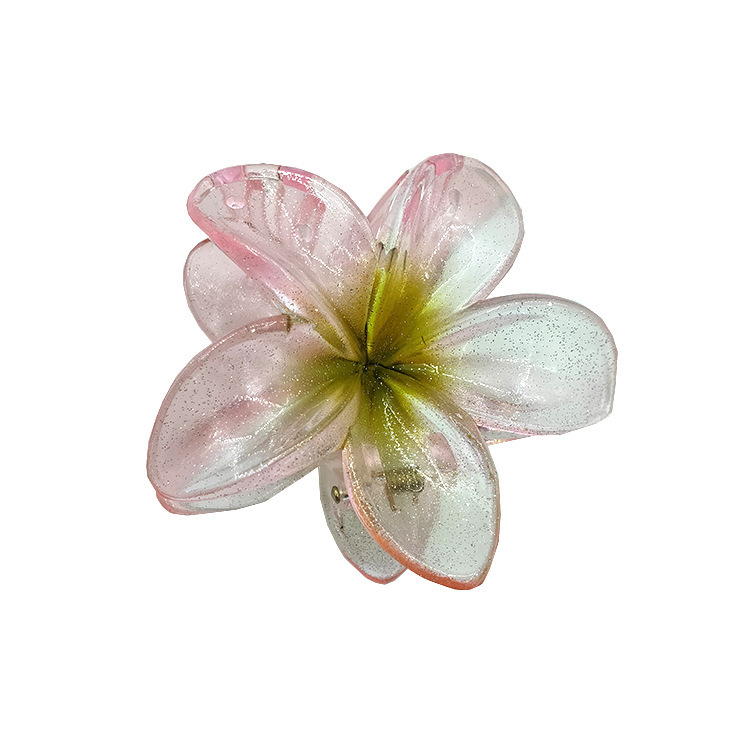国境を越えたアマゾンの卵の花がグラデーションの花のキャンディー色の紫荊花の後頭部をつかんでサメの花を挟んで髪を伸ばします。|undefined