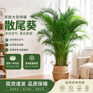 �k���҃������B�Gֲ�͏d������͸��FҬ�ӻ�ɢβ��ֲ���Pβ������