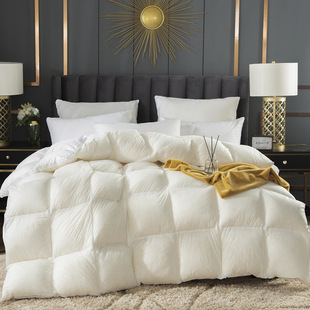Cotton Satin Transparent down Quilt 5A Grade 95% Large White Goose down Quilt Spring & Fall Quilt Warm Winter Quilt Core Filled with down