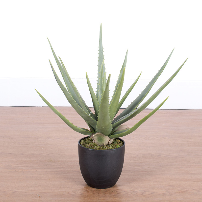 Decoración del hogar suculentas plantas en macetas simulación suave aloe vera bonsai alta simulación suculentas plantas verdes falsas en macetas image 8