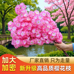 ����ѻ�֦���ܙѻ����滨�һ�֦�٘��쾰���ϻ��͏d��픻����b�