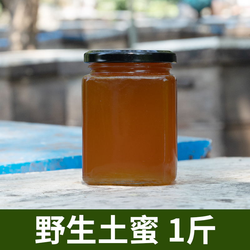【야생꿀】 0.5kg