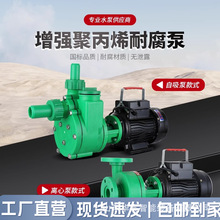 化工泵抽海水离心泵耐酸碱自吸泵防腐泵耐腐蚀工程泵