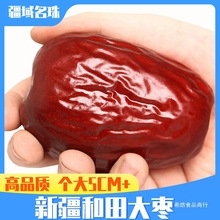 新疆特产红枣和田大枣优级骏枣5斤袋装新鲜玉枣特大六星一级枣子