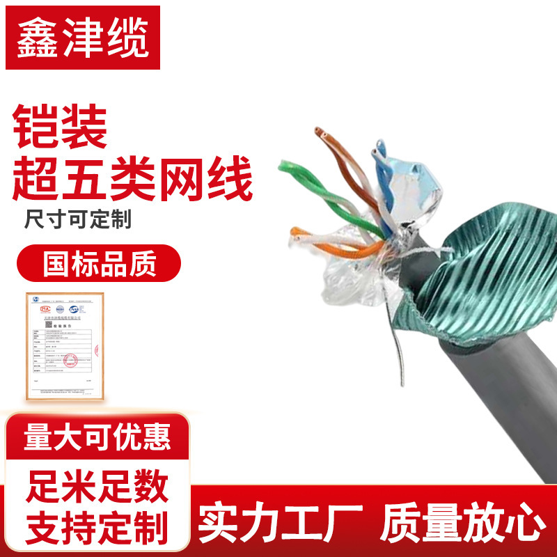 Xinjin Cable Flame Retardant Armored Category 5E Communication Outdoor Shielded Network Cable Hsyv53-4*2*0.5 Straight Buried Wire