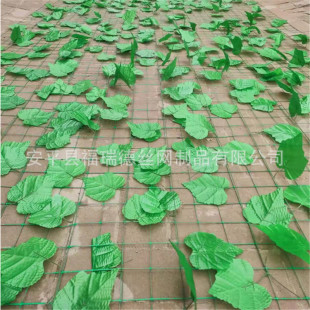 Green Leaf Barbed Wire with Leaf Greening Net Manufacturer Wholesale