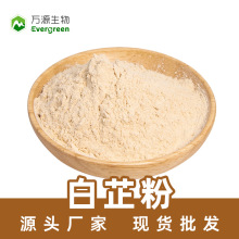 白芷粉 无硫白芷粉 食品原料OEM固体饮料压片糖果 白芷厂家现货