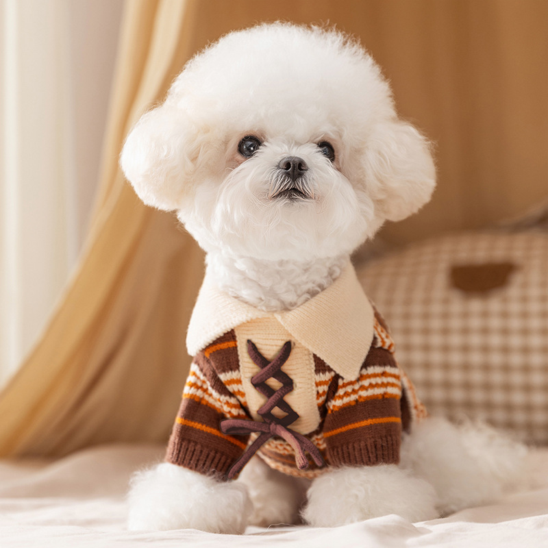 Nuevo otoño y invierno perros pequeños y medianos peluche mascotas collares de color correa polo suéter de dos patas ropa de perro y gato image 3