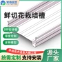 荷兰大棚切花吊挂