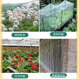 樱桃防虫网网袋蔬菜抗老化防鸟防虫网绿植果树杨梅花卉蓝莓莲