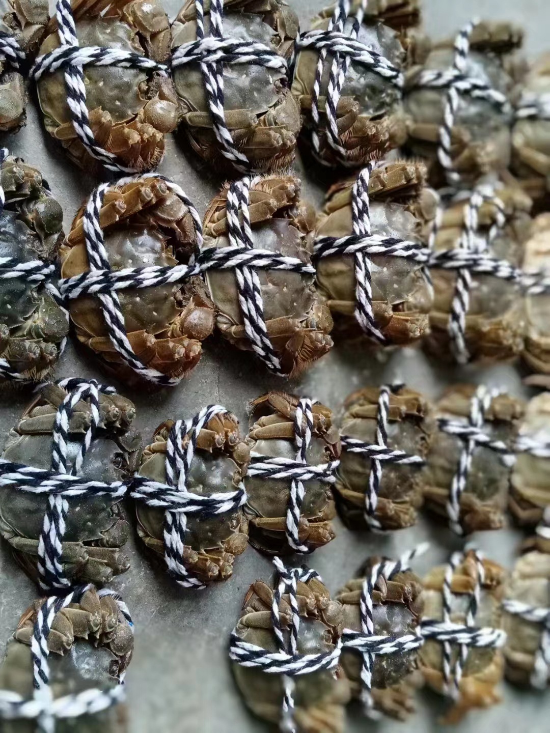 微信图片_20230907111356_1