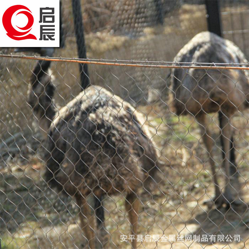 动物笼舍网装饰钢丝绳网不锈钢绳网防坠网柔性卡扣钢丝绳编织网