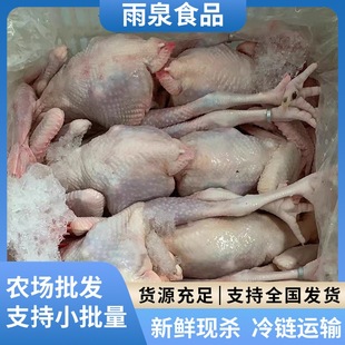 �������u��ɽɢ�B���u���u�r�����P���r���a��ֻ�ߵ�ĸ�u��������