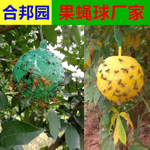 Bait Ball Fruit Tree Pest-Preventive Citrus Fruit Tree Insect-Attracting Ball Pest-Attracting Ball Pest-Preventive Ball Melon and Fruit Large Fruit Fly Bait Ball