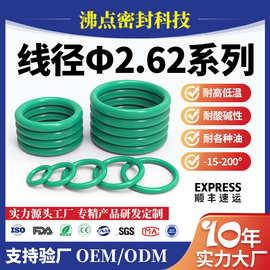 沸点氟橡胶密封圈线径2.62mm耐温耐油fkm胶圈全氟醚O型圈O形垫圈