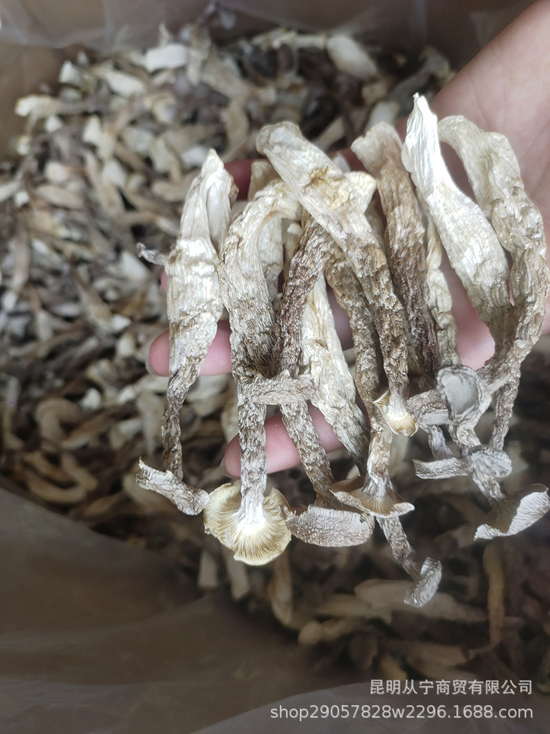 Dried Deer Antler Mushroom 500g Premium Edible Fungus for Soup and Stir Fry overview