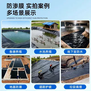 化粪池防渗土工膜hdpe沼气池养猪场土工膜污水池隔水防渗土工膜