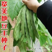 �ض���һ̖���ǷN�� �o���ļ����˶����쿹�� ���v���۰�ɏ���N��