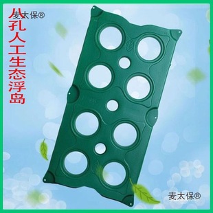 8���˹����B���u1��ˮ�ϷNֲ�����~���N�˺ӵ�ֲ��G���쾰��̫��