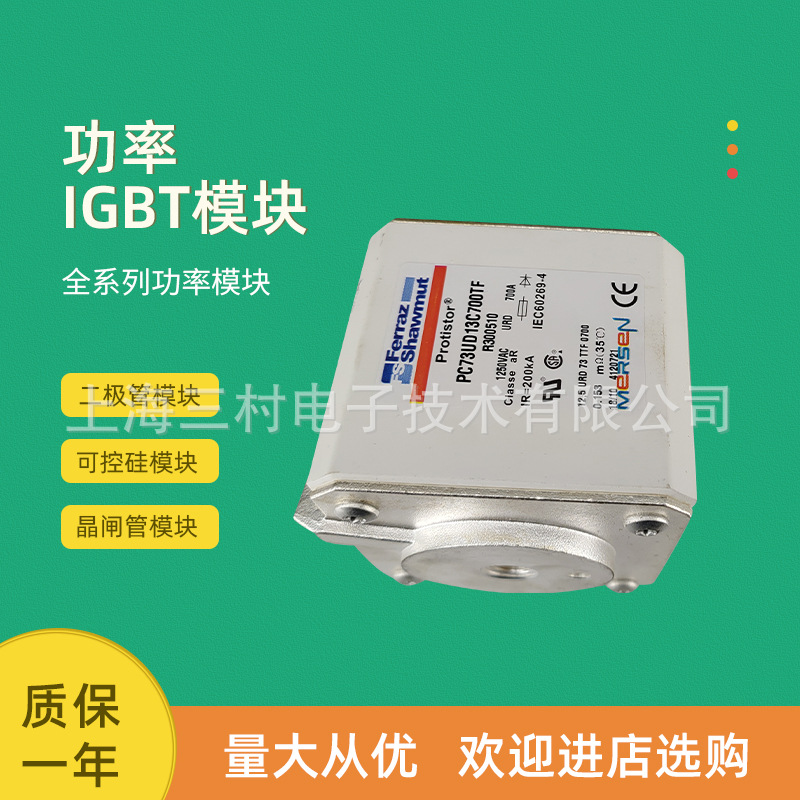 全新熔断器保险丝全新保护DVGR50V200/G212020 DIIGR50V2/Z212542