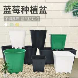 大号圆形花盆加厚蓝莓盆草莓植物基质栽培盆种植盆 塑料花盆批发