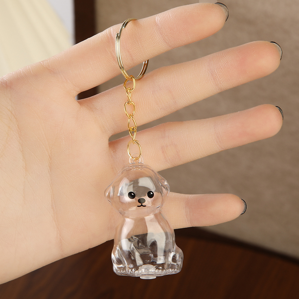 Cartoon pet cabello de almacenamiento llavero adorable transparente pet conmemorativo cachorro pet listado llavero cabello