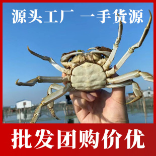 ��з���lзԴ�^���Sһ��؛Դ �̓r���� ��I���l�Fُ���Ƀr��ȫĸ