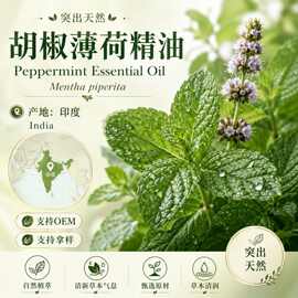 胡椒薄荷精油印度产区精油按摩精油芳疗单方精油SPA原料批发