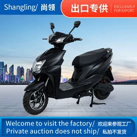 其他电动车;其他摩托车;两轮摩托车