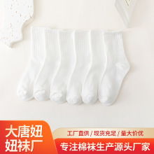 纯色简约中筒袜鲨鱼裤白袜子厂家批发百搭吸汗休闲女袜吸汗防臭