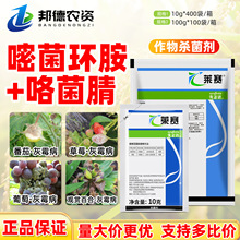 �����_�Rِ 62%�������׾��h�����ܰٺ����ѷ��ѻ�ù���rș������