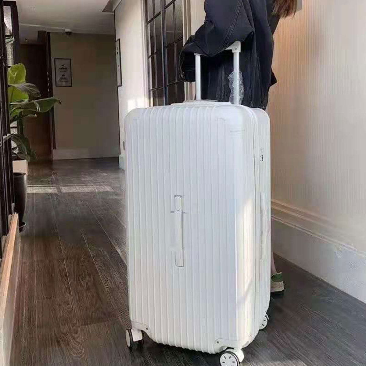 아이보리 화이트