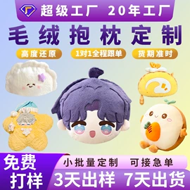 毛绒玩具;公仔抱枕;卡通人偶服装