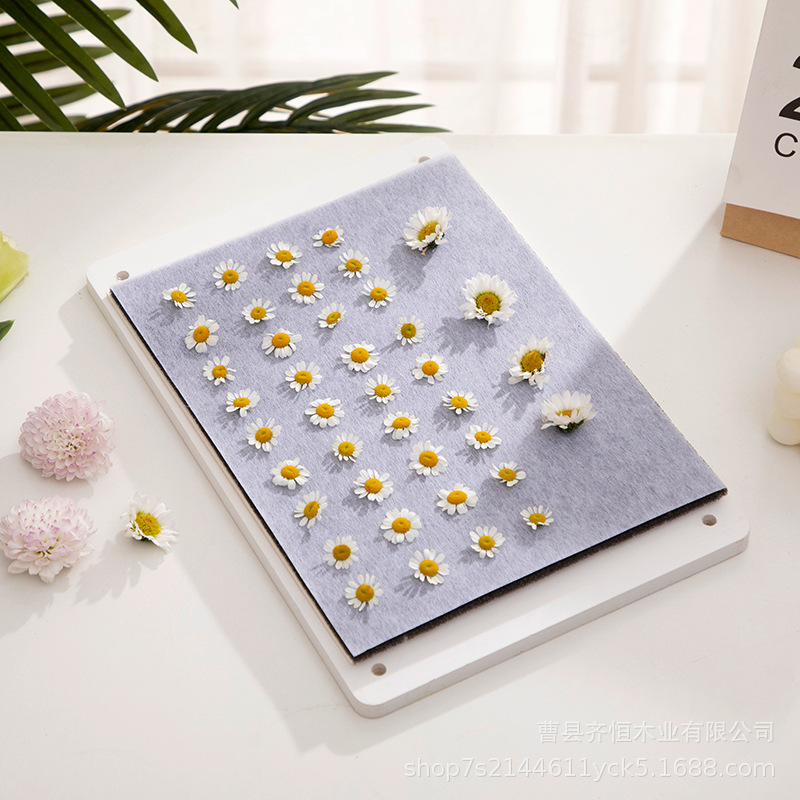 Tiktok impresora planta espécimen herramienta de fabricación hecha a mano flor seca rebanadas de fruta hojas secas DIY