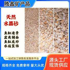 厂家直供水晶砂鱼缸造景多肉铺面石鱼缸底砂水族装饰白色小玉石