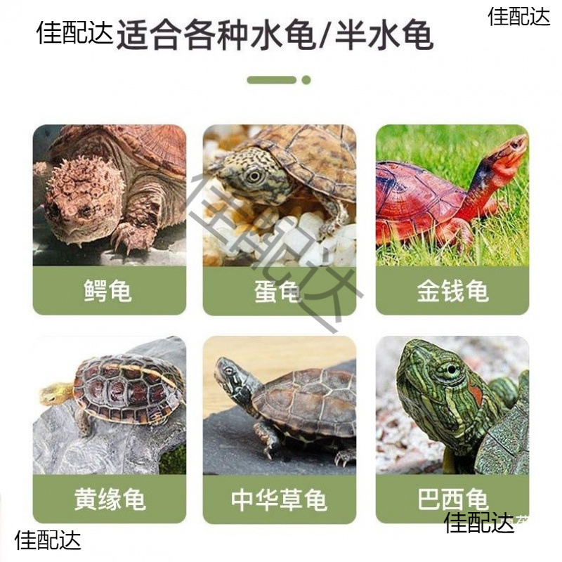 乌龟发色盒幼龟孵化饲养盒蛋龟加温黑白隔离龟苗饲养套盒带沉淀板|undefined