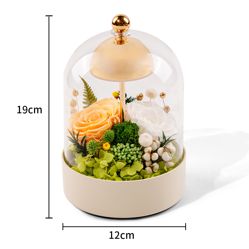 Yunnan al por mayor campana de viento eterna flor de vidrio lámpara de escritorio caja de regalo adornos lámparas de noche dormitorio regalo cálido