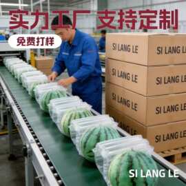 气柱袋汽柱卷材酒水气囊充气填充袋气泡柱缓冲防摔填充