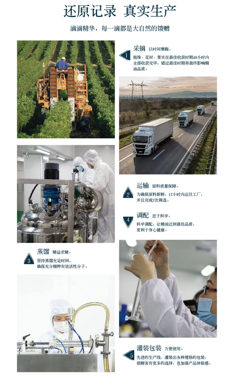 单方精油48款详情页_07.jpg