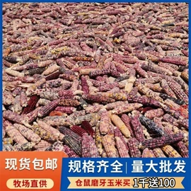 兔子主粮;其他小宠用品;宠物周边用品