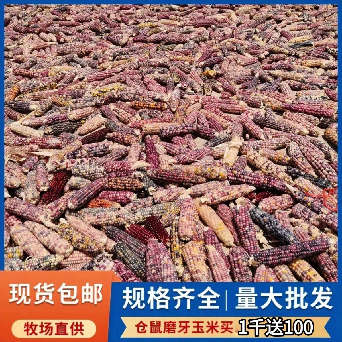 Милый мини-хомяк 25 лет, жевательная кукуруза на кукурузной початке, голландская свинья, шиншилла, кролик, закусочная палочка