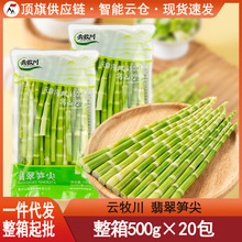 云牧川翡翠笋尖500g鲜脆嫩绿笋青笋小竹笋片火锅笋串串麻辣烫商用