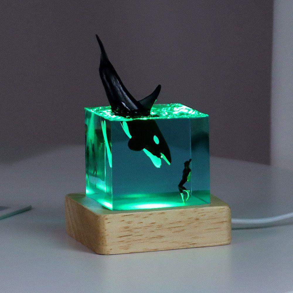 Cube whale ornament colorful lamp holder (killer whale)