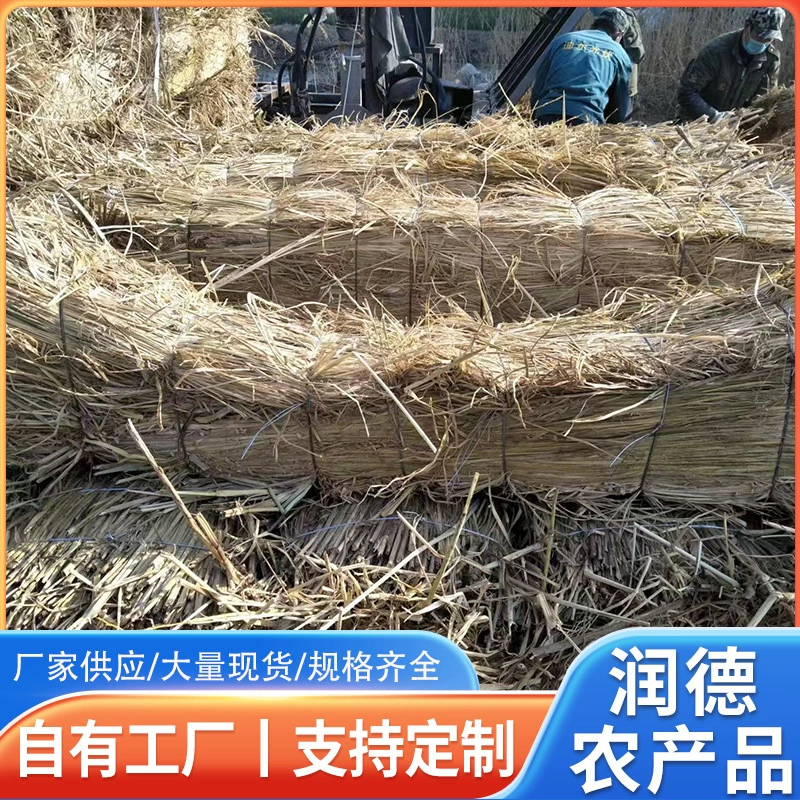 Травяной опорный коврик Железнодорожный транспортный коврик стальной полоски