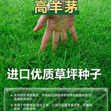 ����é�����ͺ���ƺ�N���ļ����o�¾G����������������`̤ͥԺ��