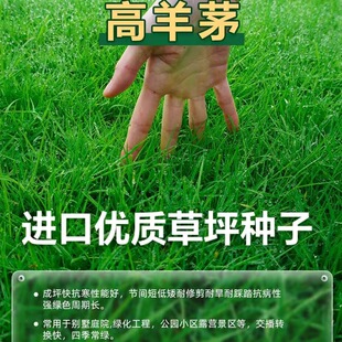 ����é�����ͺ���ƺ�N���ļ����o�¾G����������������`̤ͥԺ��