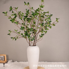 �羳�������m�~֦�ٻ����lܛ�z���滨���컨���b���Gֲ���m�~