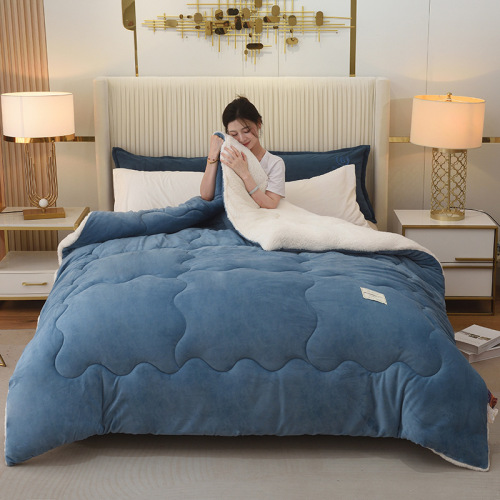 Warm lamb velvet winter quilt double-sided thickened milk velvet quilt student dormitory double quilt blanket quilt core wholesale